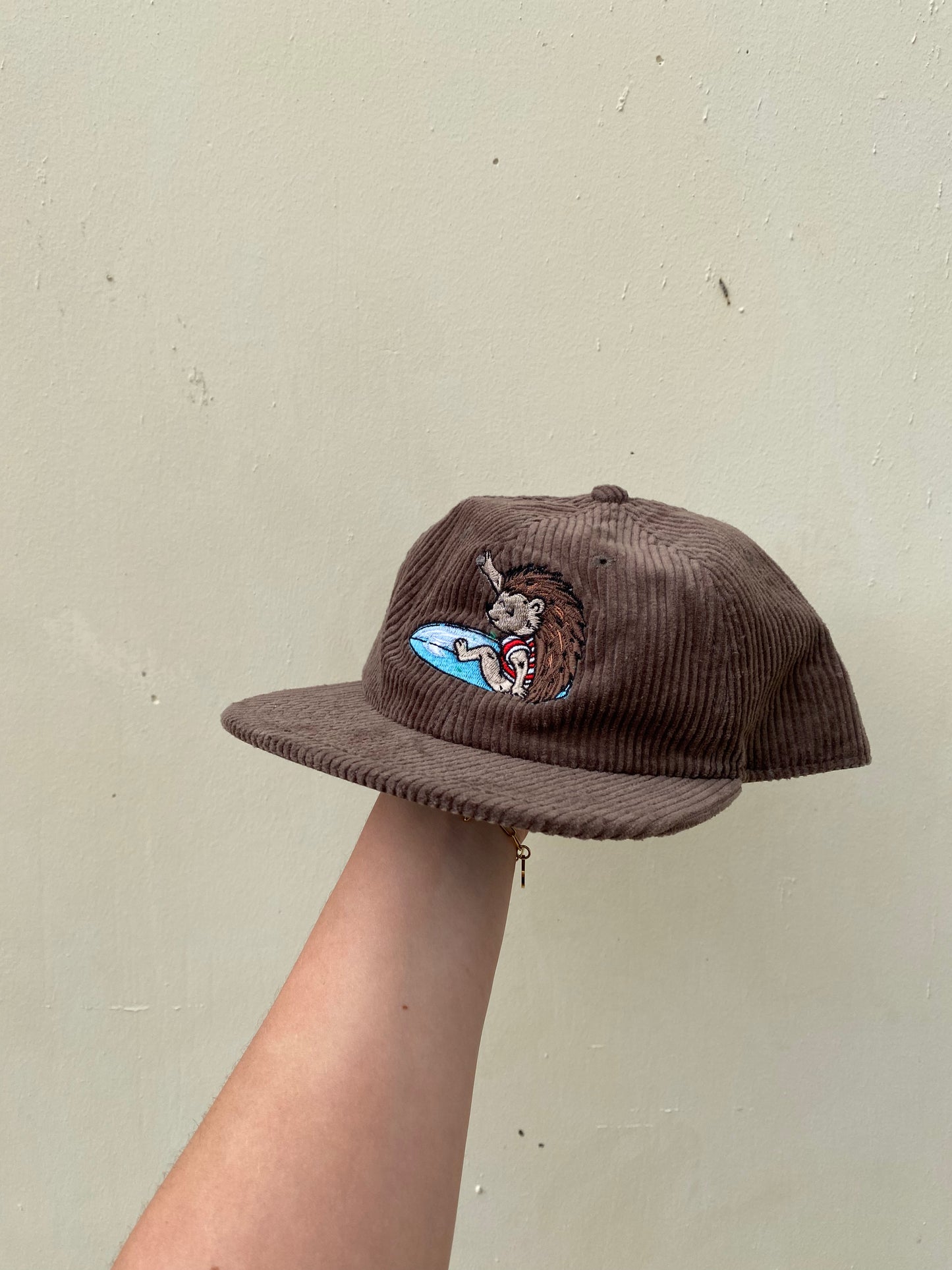 Surfing Hedgehog Cord Cap
