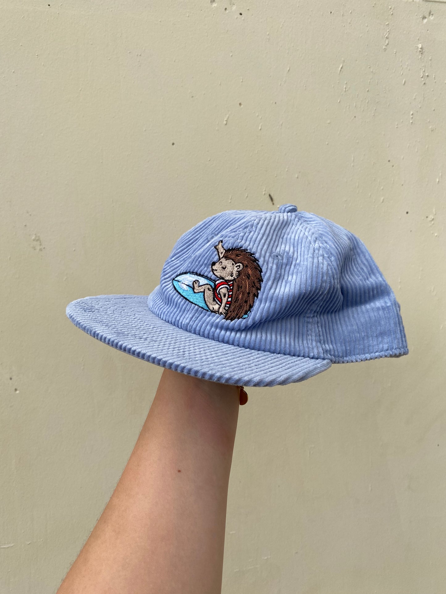 Surfing Hedgehog Cord Cap