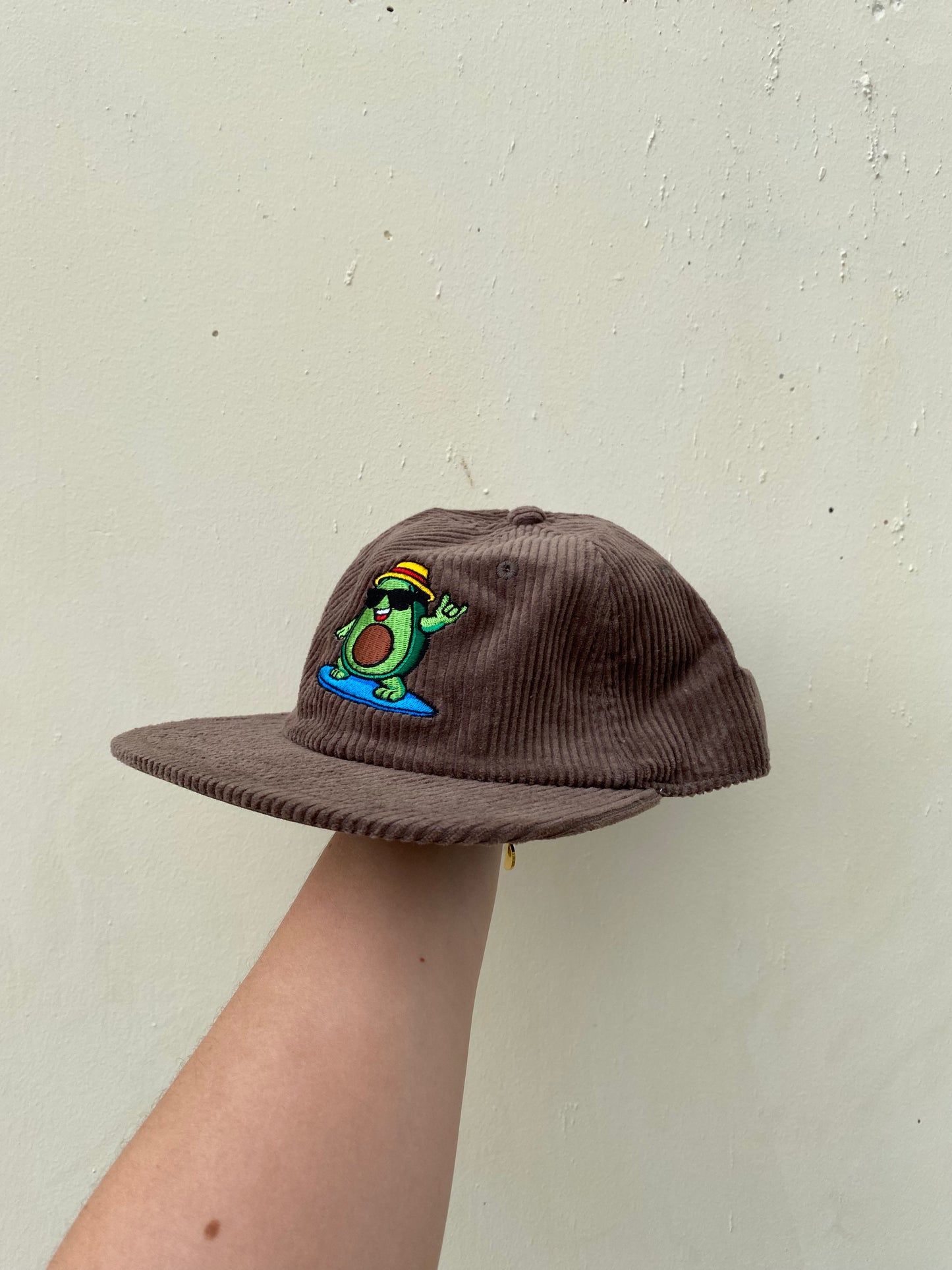 Surfing Avocado Cord Cap